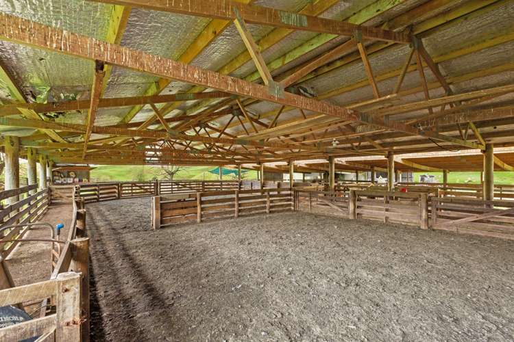 486 Ngatarawa Road Mahoenui_19