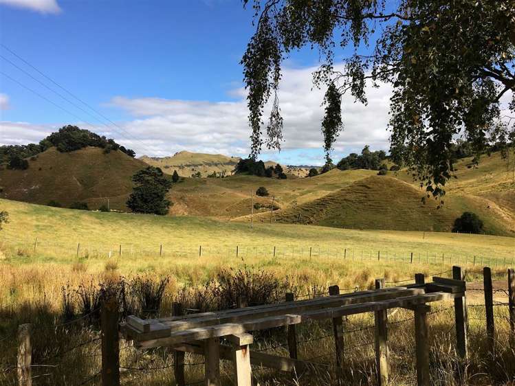 97 Hibberds Road Taihape and Surrounds_15