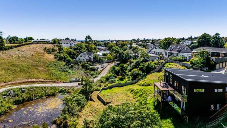 63b Heta Road Highlands Park_9