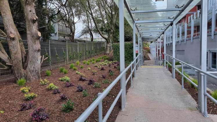 116/4 Wagener Place Mt Albert_18