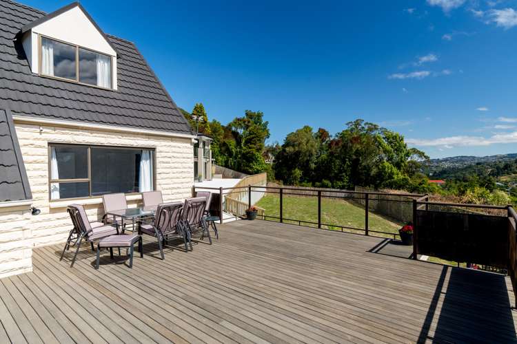 540 North Road Normanby_22