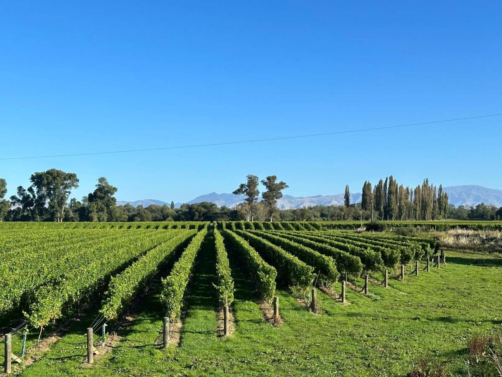 596 Kaituna Tuamarina Road Tuamarina_0