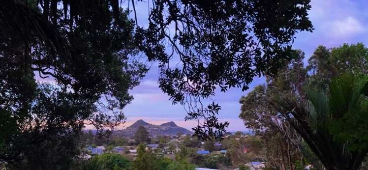 33b Mount Avenue Pauanui_19