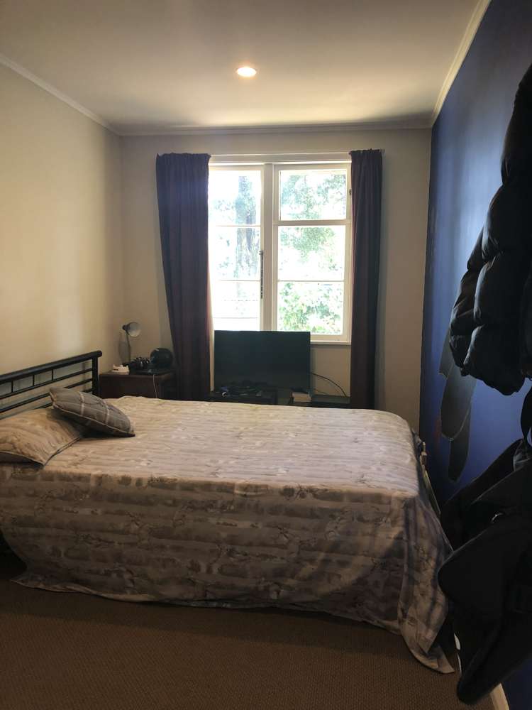 763 Tower Road Turangaomoana_8