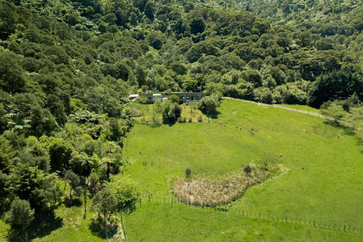 5 Tapu Creek Farms Tapu_34