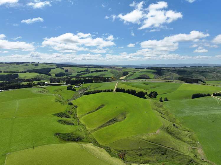 Hillend Road and Falla Burn Road Hillend_18
