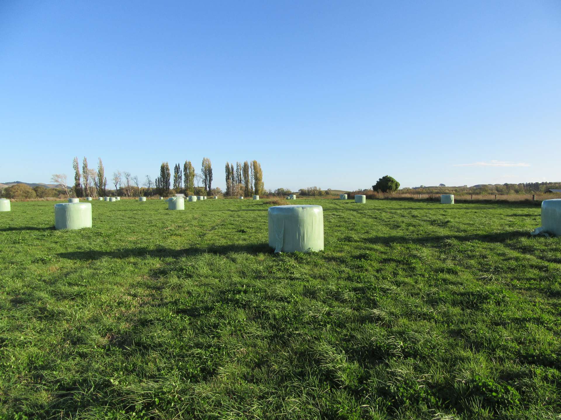 51 Walker Road Otane_0