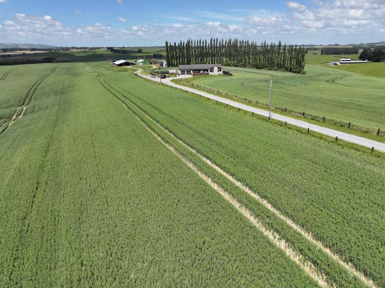 583 Reaby Road Gore_20