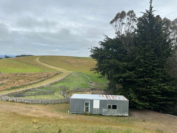 Cameron Road Tapanui_1