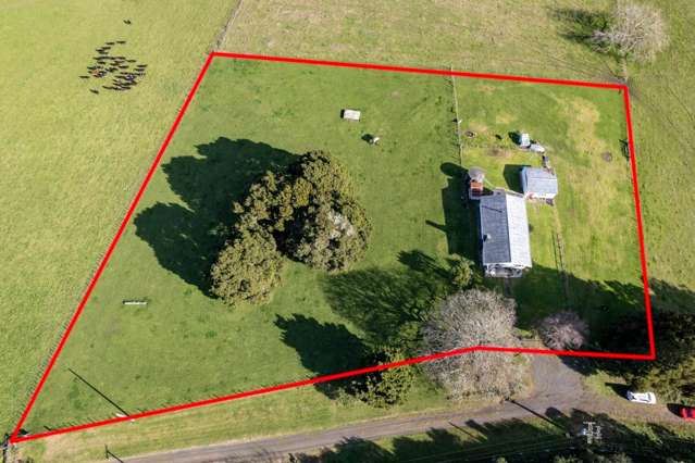 403 Hall Road Rangiriri_1