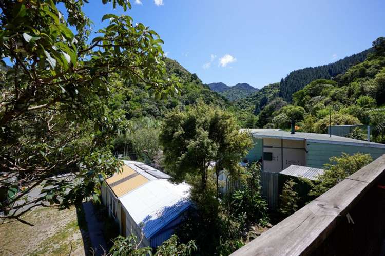 28 Goose Bay Kaikoura_31