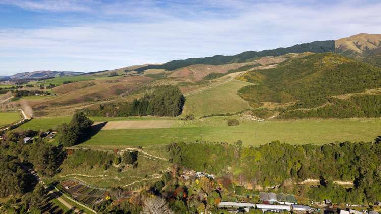 501 Upper Hook Road Hunter_30