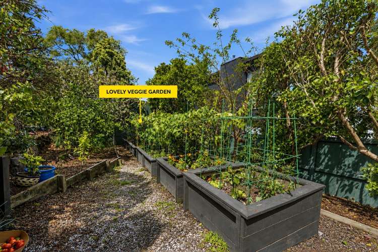 4 Patros Place Bucklands Beach_35