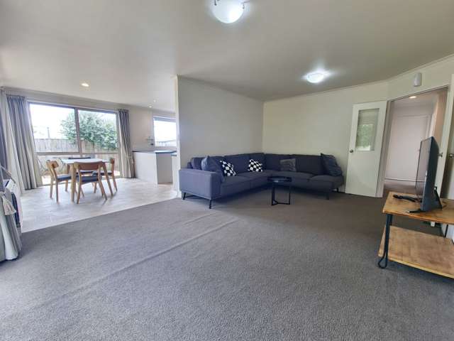 6A Selwyn Street Witherlea_2
