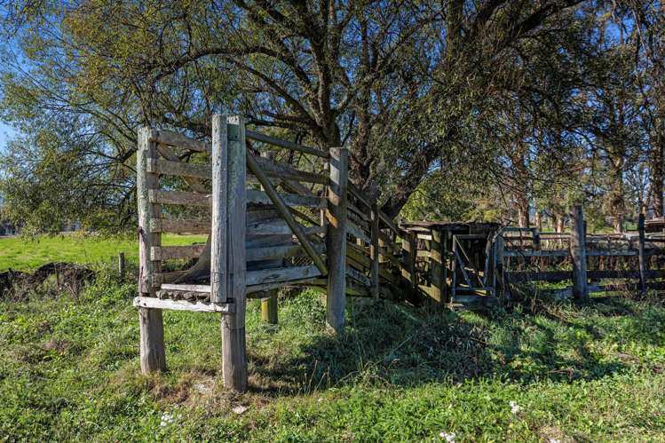 1072 Main Road Murupara_20