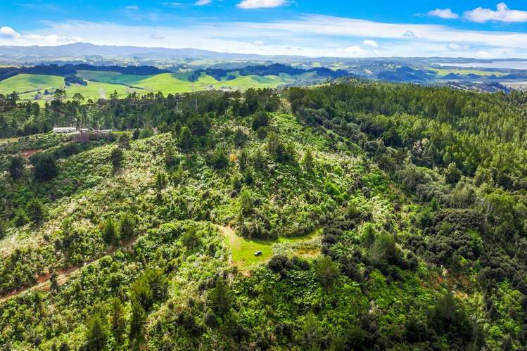 Lot 3 Radiata Road Warkworth_28