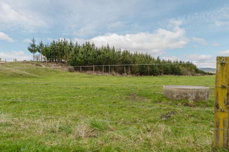 60 Whirinaki Road Galatea_19