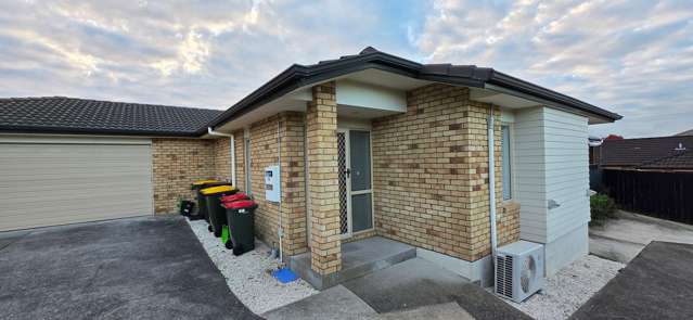 58 Aspiring Avenue Flat Bush_1