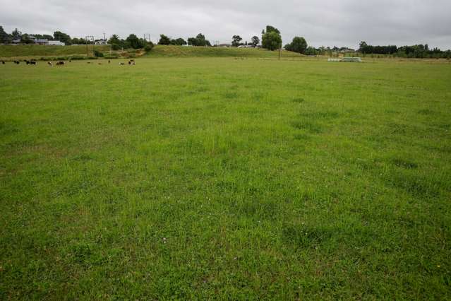 97 Stafford Street Shannon_2