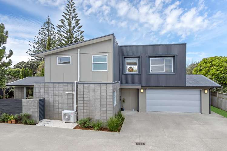 51f Denbigh Avenue Mount Roskill_31