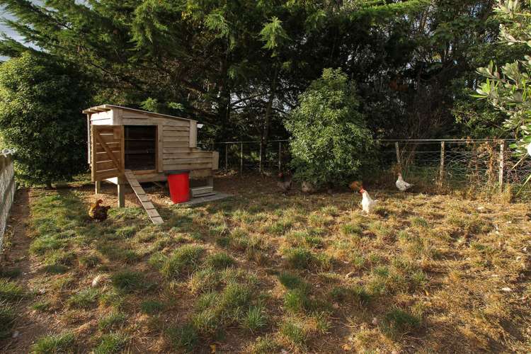 40 Percy Millen Drive Waiau Pa_19