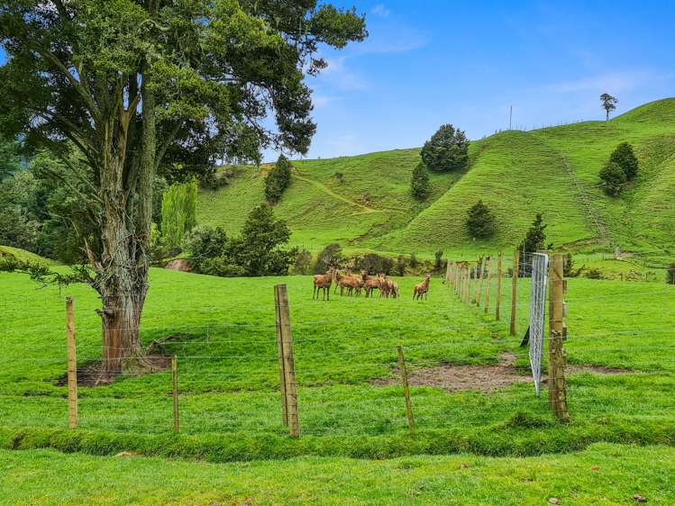 1094 Oio Road Owhango_5