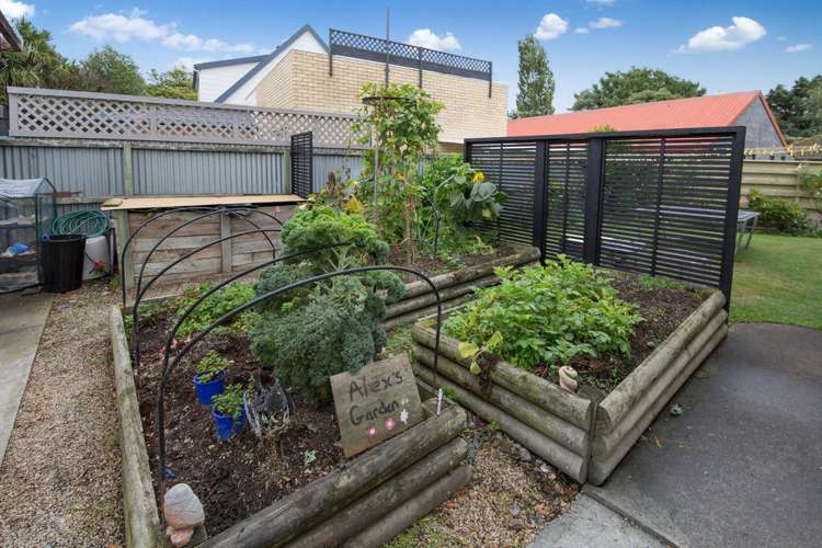 43 Barnes Road Redwood_15