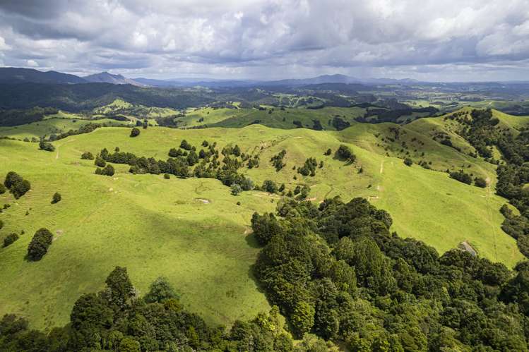 632 Marlow Road Maromaku_28