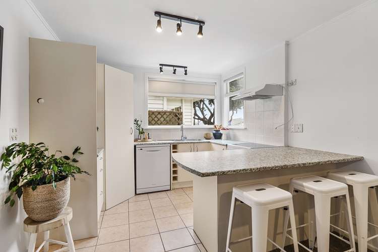 22 Ferry Street Seatoun_3