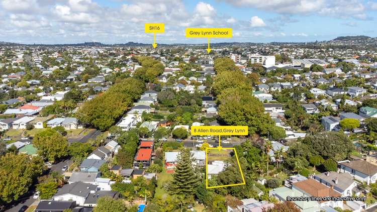 8 Allen Road Grey Lynn_21