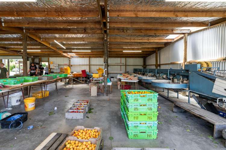 209 Onehunga Road Bay View_24