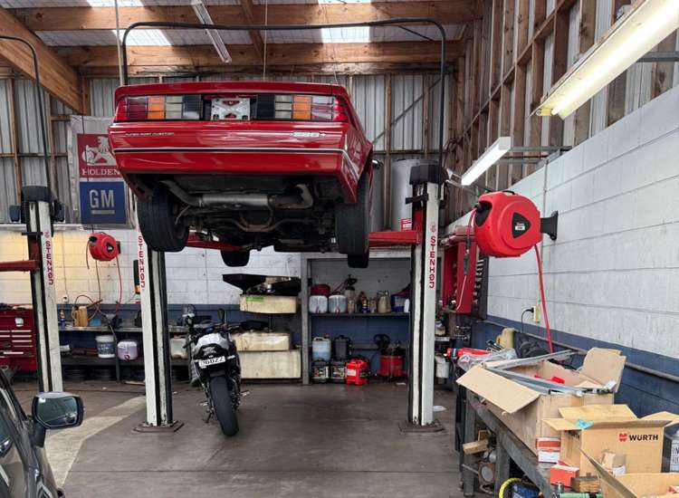 Address withheld Browns Bay_7