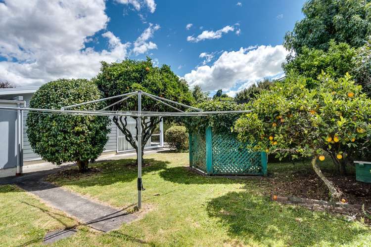 14 Kent Terrace Taradale_15