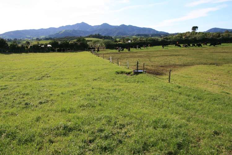 At/192-194 Dover Road Okato_6