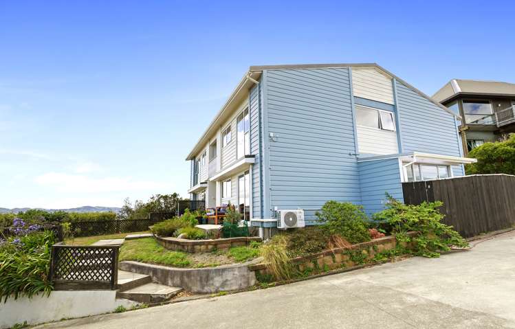 8d Nikau Road Point Howard_8