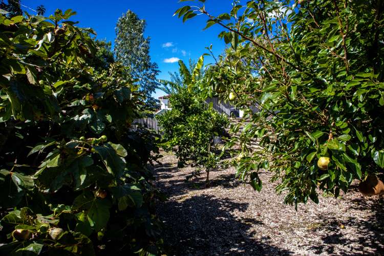 8 Gundry Street Rawene_25