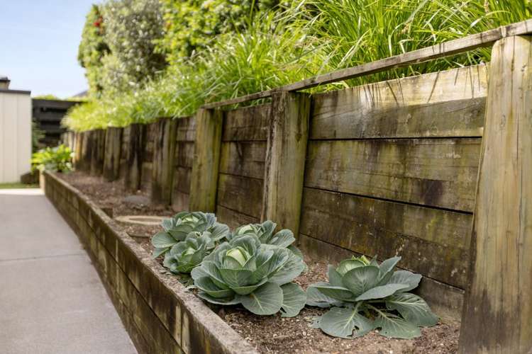 5 Vista Close Omokoroa_25