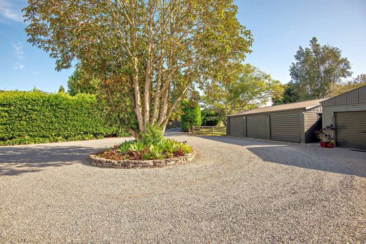 127 White Pine Bush Road Whakatane_22