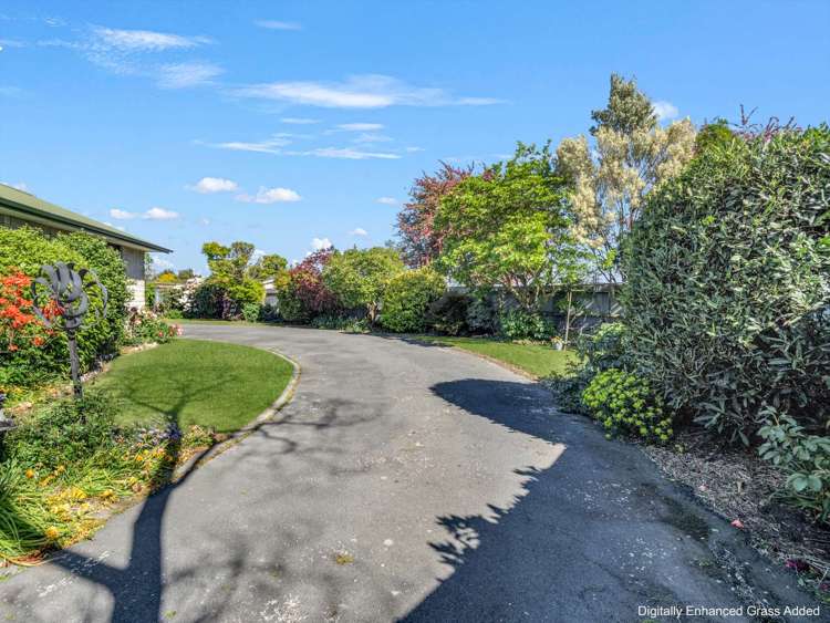 128 Grove Street Tinwald_25