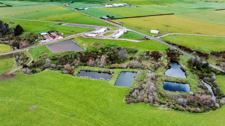 0n Ngarongo Road Normanby_23