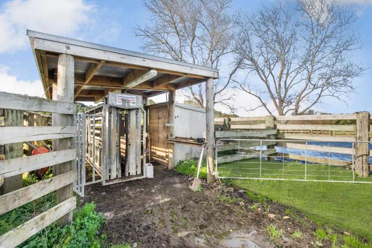 2192 Hetherington Road Ruawaro_13