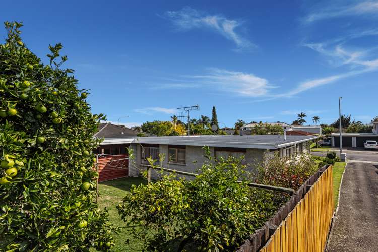 21 Hikurangi Street Whakatane_16