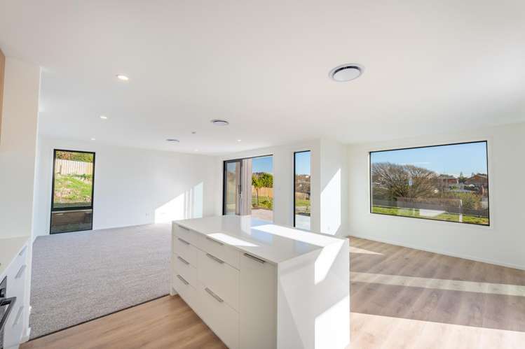 9 Mahara Place Maori Hill_16