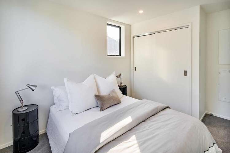 15 Ara Toutouwai Karori_10