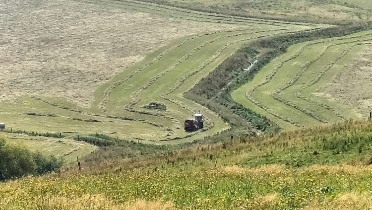 80 Mcdonald Road Lumsden Surrounds_2