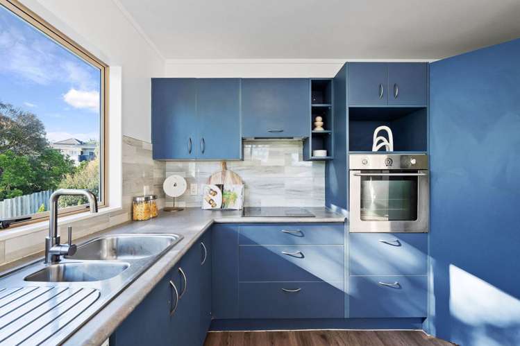 27a Olsen Avenue Hillsborough_11