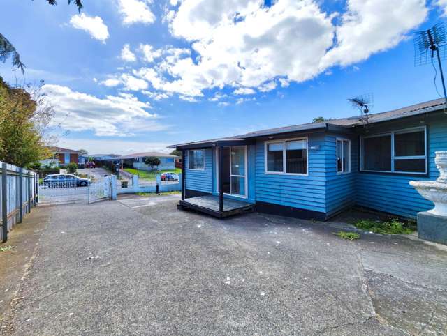 45 Mckinstry Avenue Mangere East_1