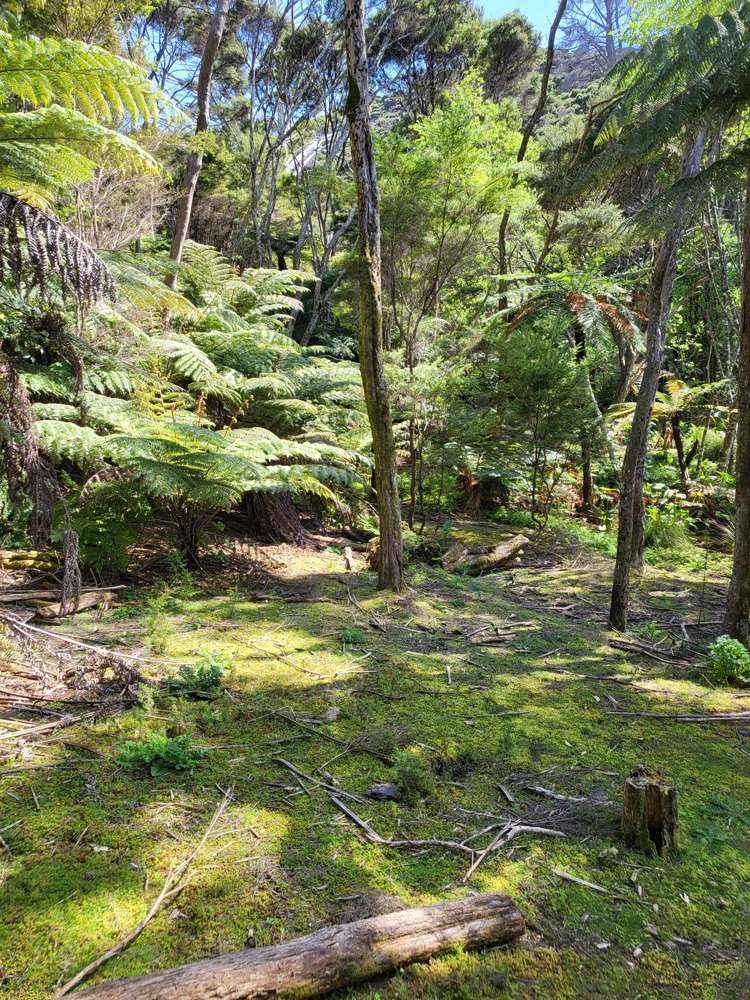 Lot 7 Smelting House Bay Kawau Island_17