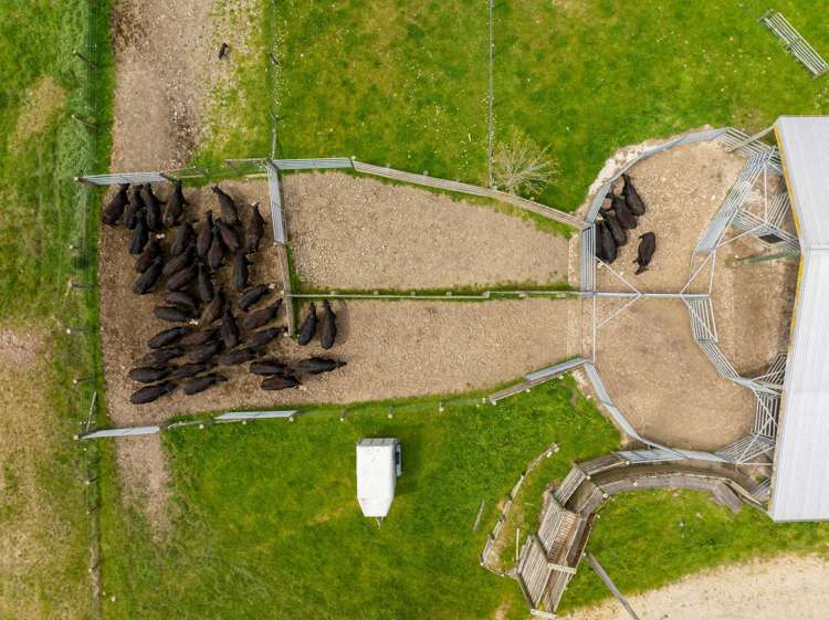 115 Howard Valley Road St Arnaud_13