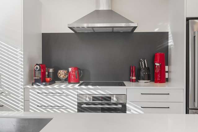 21 Naismith Street Chartwell_1